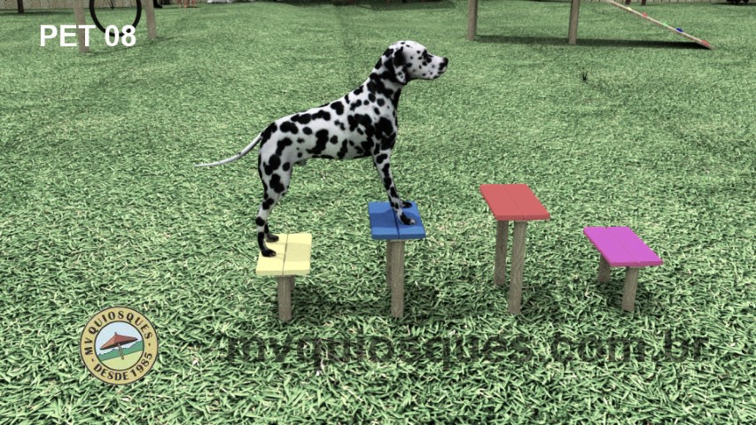 Pet 08