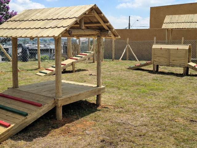 Pet playground